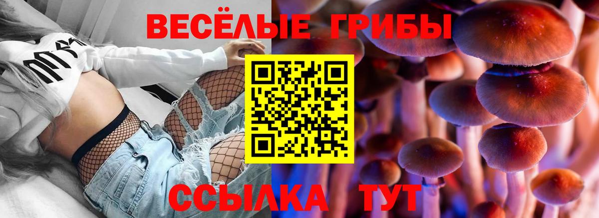 Галлюциногенные грибы ЛСД Мариинск